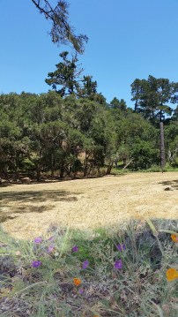 Superimposed1435111113972